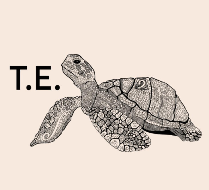 turtle edits logo - click to return to home page.